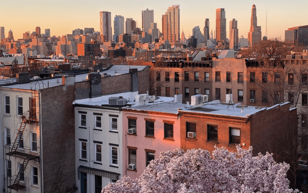 Brooklyn View